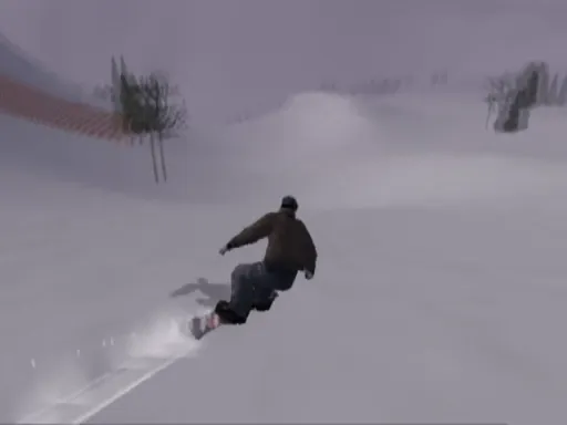 Snapshot